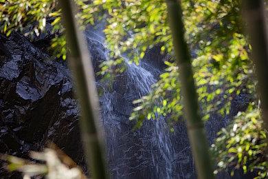 《真·女神转生Ⅴ Vengeance》公开战斗系统及技能相关新资讯